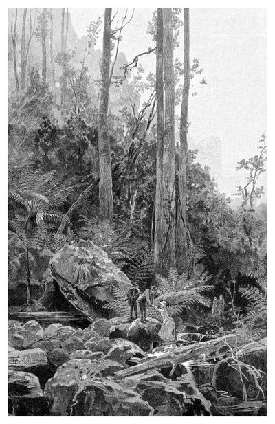 Een kloof in de Blue Mountains, Australië, 1886 door Frederic B. Schell