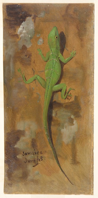 Een hagedis, Jamaica door Frederic Edwin Church
