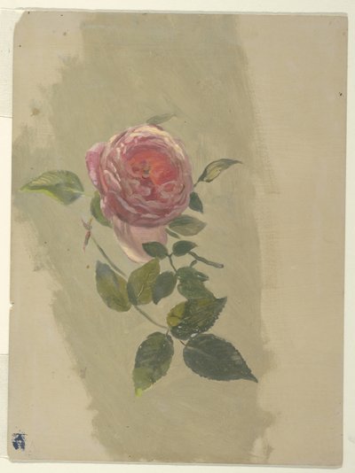 Een Rozenstruik door Frederic Edwin Church