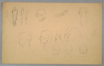 Anatomische studies door Frederic Edwin Church