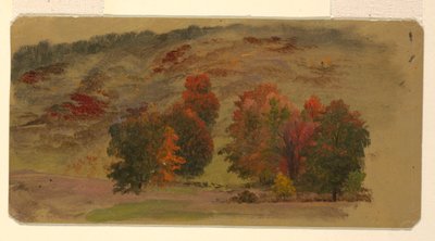 Herfstlandschap door Frederic Edwin Church
