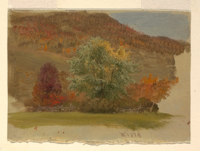 Herfstlandschap door Frederic Edwin Church