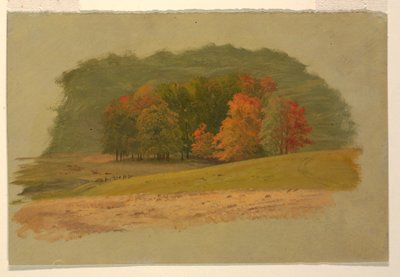 Herfstlandschap door Frederic Edwin Church