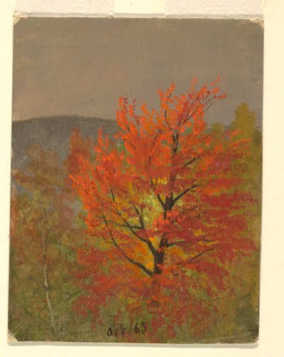 Herfstlandschap, Vermont door Frederic Edwin Church