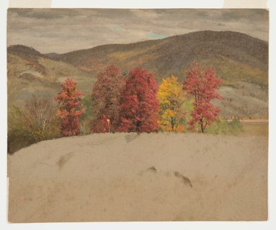 Herfstlandschap in New England door Frederic Edwin Church