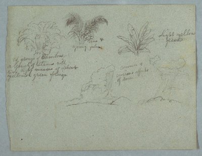 Bamboes, Wijnstok en een Jonge Palm, Plant, en Twee Scènes van Regen die uit Wolken over Bergen valt, Rio Magdalena, Colombia door Frederic Edwin Church