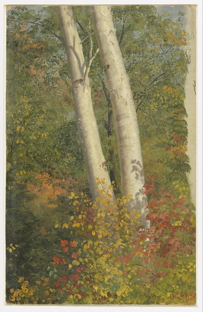 Berken in de herfst door Frederic Edwin Church