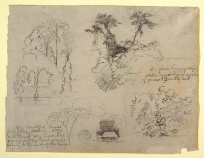 Botanische studies en een huis, waarschijnlijk uit Colombia door Frederic Edwin Church
