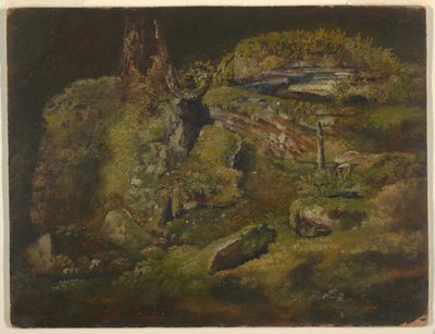 Rots in het Bos door Frederic Edwin Church