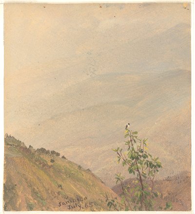 Verre heuvels, Jamaica door Frederic Edwin Church