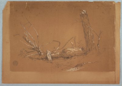 Tekening, Een gebroken dode boom, 1855-65 door Frederic Edwin Church