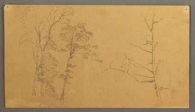 Tekening, Een groep bomen met het bovenste deel van een dode boom, 1866 door Frederic Edwin Church