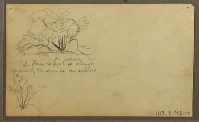 Tekening, Een hut op palen, Guayaquil, Ecuador, mei 1857 door Frederic Edwin Church