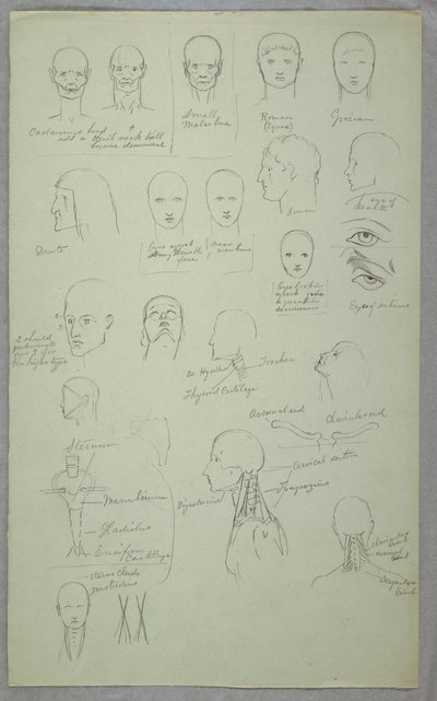 Tekening, Anatomische studies, 1865-70 door Frederic Edwin Church