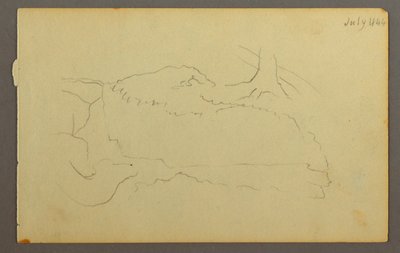 Tekening, Basis van een boom, keien, 1844 door Frederic Edwin Church