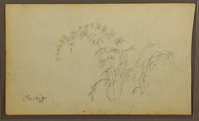 Tekening, Botanische Schetsen; Verso: Botanische Schetsen, 1857 door Frederic Edwin Church