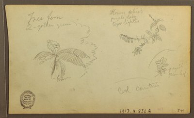 Tekening, Botanische Schetsen; Verso: Botanische Schetsen, 1857 door Frederic Edwin Church