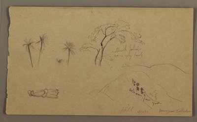 Tekening, botanische schetsen, figuur, mei-augustus 1865 door Frederic Edwin Church