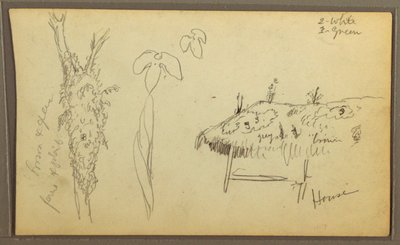Tekening, Botanische Schetsen, huis; botanische schetsen, 1857 door Frederic Edwin Church