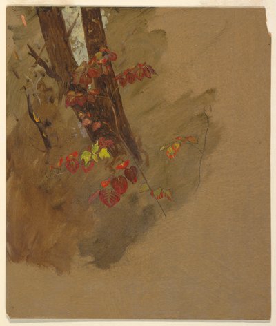 Tekening, Botanische studies, 1860-70 door Frederic Edwin Church