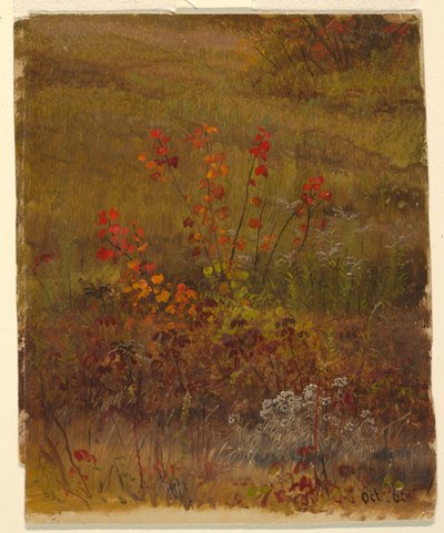 Tekening, Botanische studies, oktober 1865 door Frederic Edwin Church