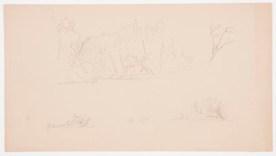 Tekening, Botanische schetsen: boom, bomen aan oever, september 1876 door Frederic Edwin Church