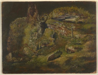 Tekening, Kei in het bos, ca. 1845 door Frederic Edwin Church