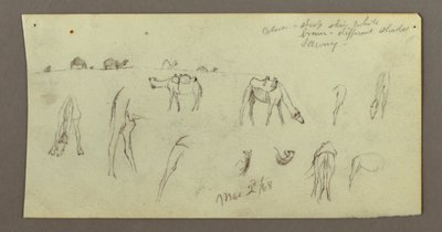 Tekening, Kamelenstudies, 2 maart 1868 door Frederic Edwin Church