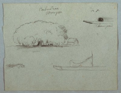 Tekening, Ceiba boom bij Mompos, Champan kano, bomen en een gedeeltelijke boot, Rio Magdelena, Colombia, 1853, waarschijnlijk mei door Frederic Edwin Church