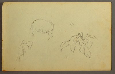 Tekening, Koe krabt aan haar hoofd, bladplant, mogelijk 1844 door Frederic Edwin Church