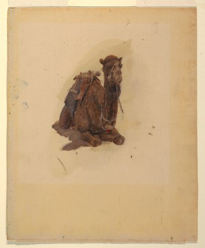 Tekening, hurkende dromedaris, 1868 door Frederic Edwin Church