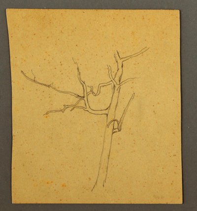 Tekening, Dode bomen, mogelijk juli 1866 door Frederic Edwin Church