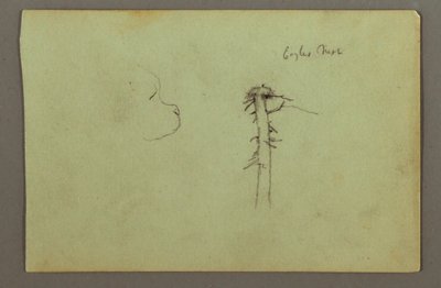 Tekening, Hondenkop, adelaarsnest op boomtop, mogelijk 1856 door Frederic Edwin Church