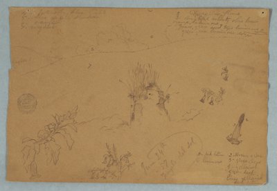 Tekening, Tekening.  Botanische en wolkenschetsen bij Quito, Ecuador, 24 juni 1857 door Frederic Edwin Church