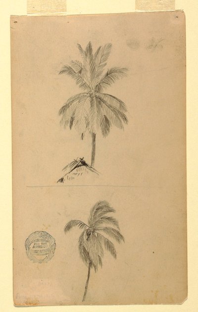 Tekening, Tekeningen.  Twee schetsen.  Palmen, 1857 door Frederic Edwin Church