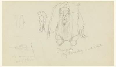 Tekening, Dromedaris; Oud huis op M, februari 1868 door Frederic Edwin Church