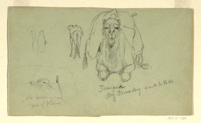 Tekening, Dromedaris; Oud huis op M, februari 1868 door Frederic Edwin Church
