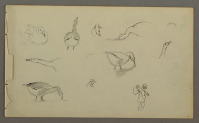 Tekening, Acht studies van eenden, twee figuurstuides, mogelijk 1857-58 door Frederic Edwin Church