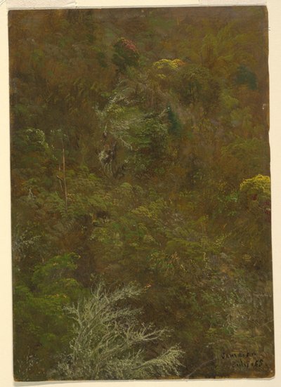 Tekening, Heuvel bedekt met struiken amp; bomen, juli 1865 door Frederic Edwin Church