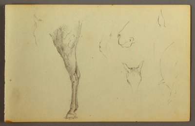 Tekening, Paardenstudies, mogelijk 1844 door Frederic Edwin Church