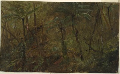 Tekening, In de bossen van Jamacia, West-Indië, 1865 door Frederic Edwin Church