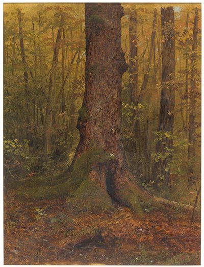 Tekening, In de bossen, waarschijnlijk Maine, 1850-60 door Frederic Edwin Church
