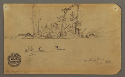 Tekening, Eiland, Twee ijsduikers, 1878 door Frederic Edwin Church