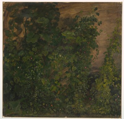 Tekening, Junglevegetatie, 1865 door Frederic Edwin Church