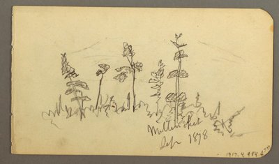 Tekening, meer kijkend in de richting van Mt. Katahdin, 1878 door Frederic Edwin Church