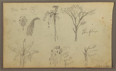 Tekening, Landschap, Guayaquil, Ecuador, 21 mei 1857 door Frederic Edwin Church