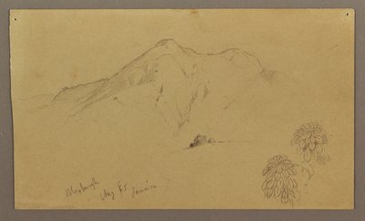 Tekening, Landschap, planten, Bloxburgh, augustus 1865 door Frederic Edwin Church