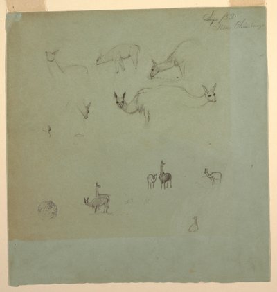 Tekening, Lama