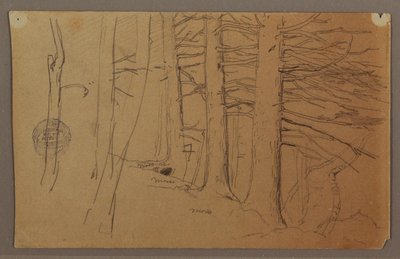 Tekening, onderste delen van een groep bomen op een helling, 1862 door Frederic Edwin Church