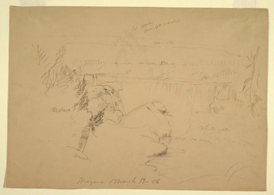 Tekening, Niagara watervallen, uitzicht vanaf Goat Island, 19 maart 1856 door Frederic Edwin Church